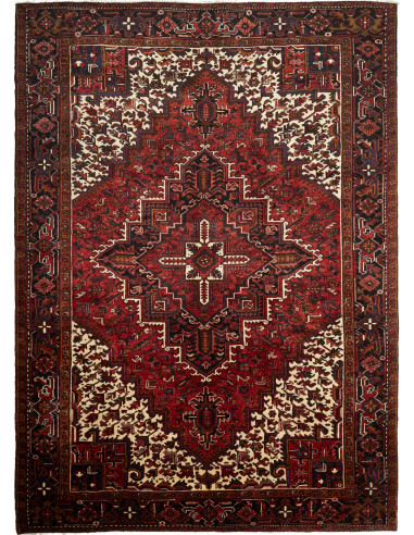 Gorawan Persia grigio ardesia scuro e terra di siena 244x340