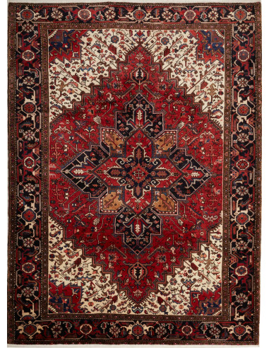 Gorawan Persia grigio ardesia scuro e abbronzatura 215x290