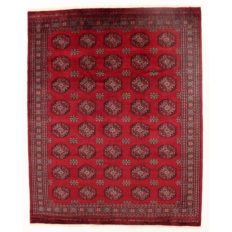tappeto pakistan bokhara extra cm 248x309
