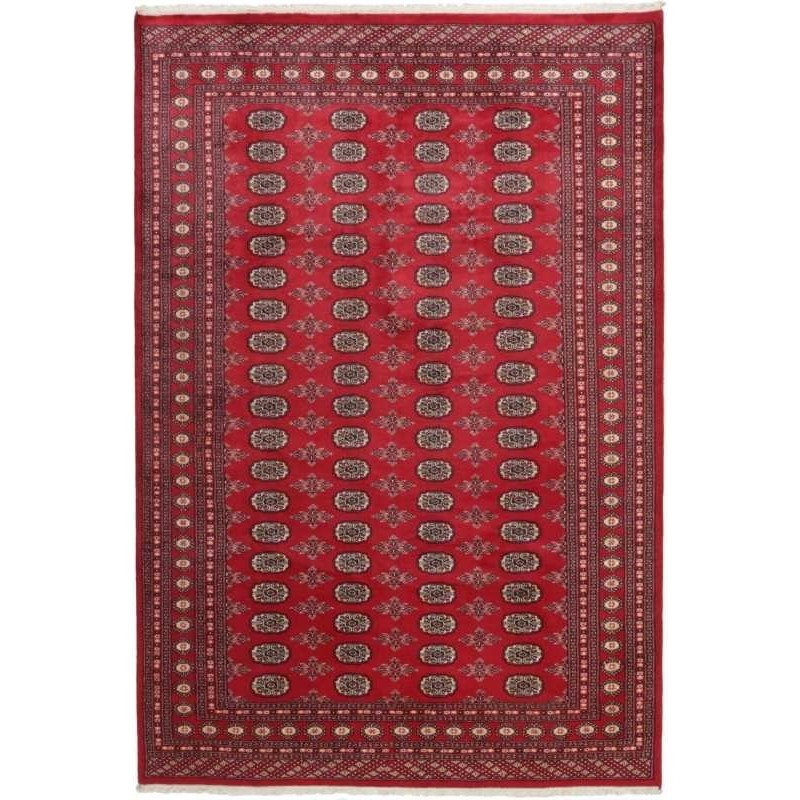 tappeto pakistan bokhara cm 204x305