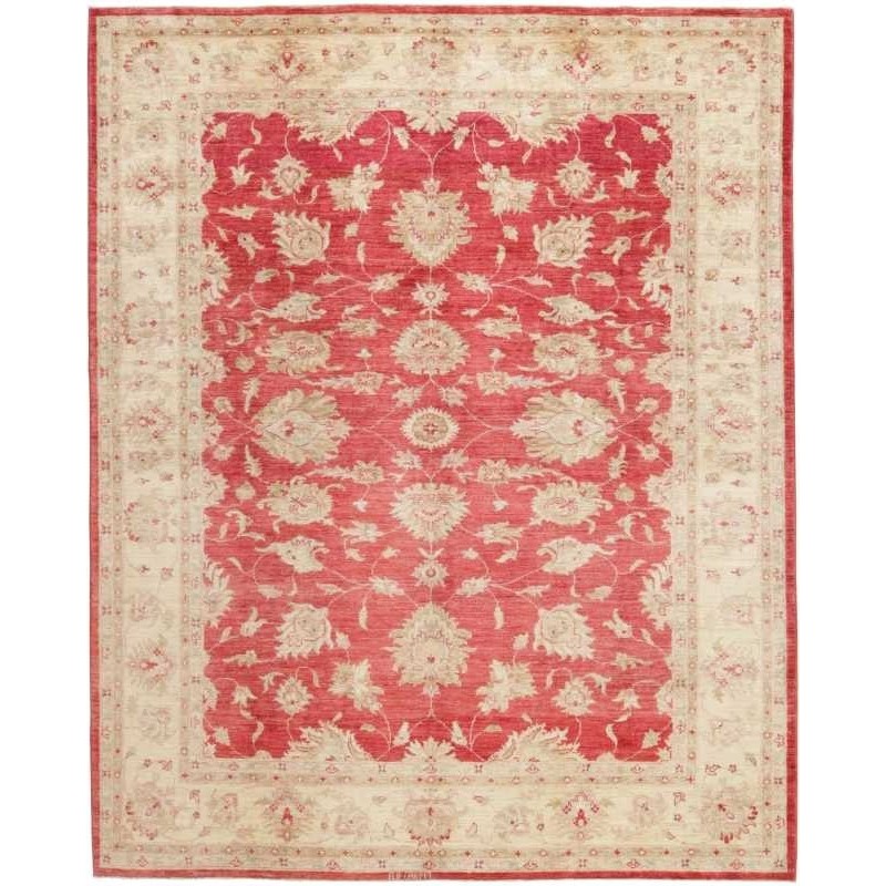 tappeto turkmanistan ziegler cm 211x258