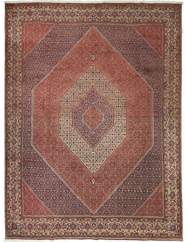 Bidjar Persia grigio tenue e marrone rosato 295x388