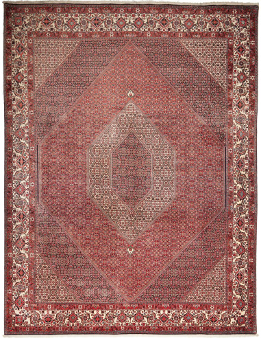 Bidjar Persia terra di siena e nero 296x390