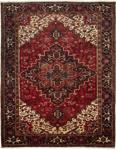 Gorawan Persia grigio ardesia scuro e abbronzatura 244x308