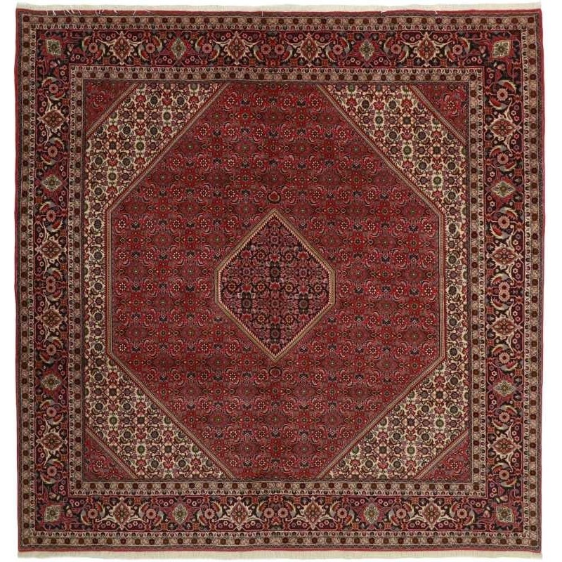 tappeto persia bidjar zandjan cm 247x254