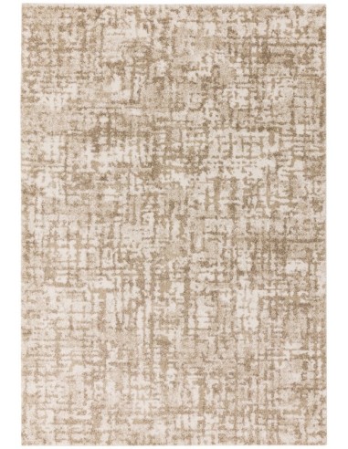 tappeto moderno Dream DM07 Cream Beige bianco/beige/tortora