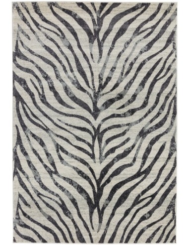 tappeto moderno Nova Zebra Grey NV27 grigio/nero/antracite