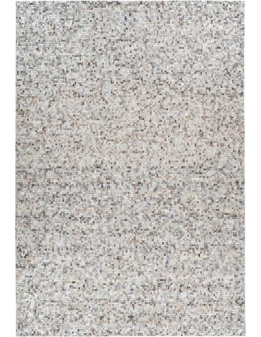 tappeto Foggia 100 grigio argento