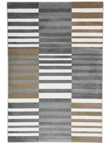 tappeto MONIA 0530 655 grigio multi