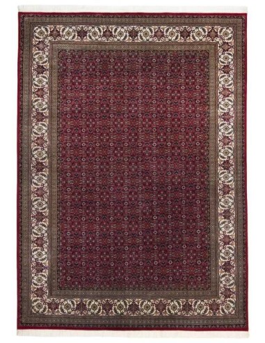 tappeto Sirsa Silk S BidjarAO 562 rosso crema