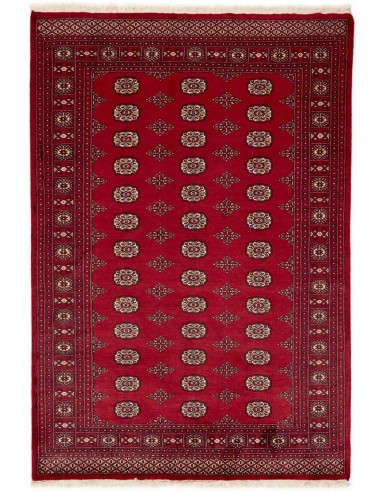 Hand made rug Bukhara fine Pakistan cm.171x250