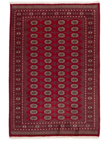 Hand made rug Bukhara fine Pakistan cm.169x244