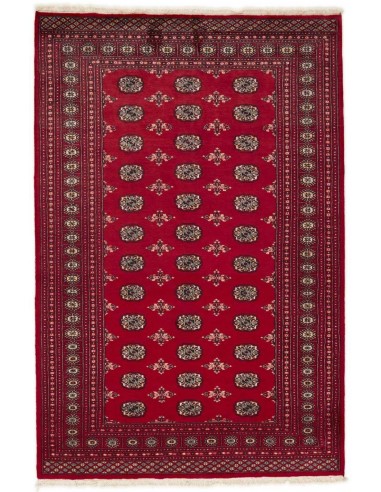 Hand made rug Bukhara fine Pakistan cm.171x257