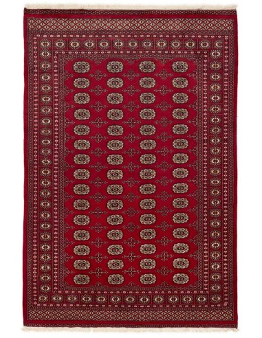 Hand made rug Bukhara fine Pakistan cm.168x252