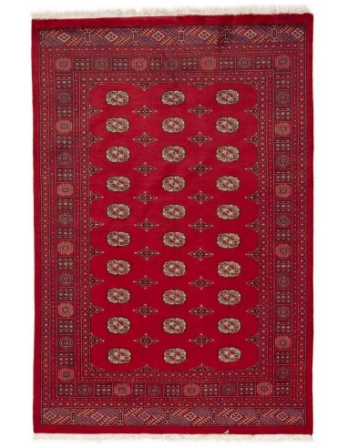 Hand made rug Bukhara fine Pakistan cm.169x253