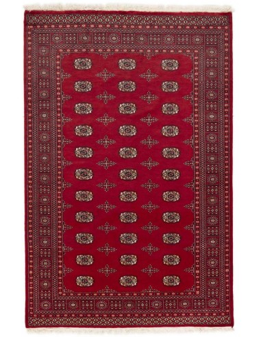 Hand made rug Bukhara fine Pakistan cm.167x254