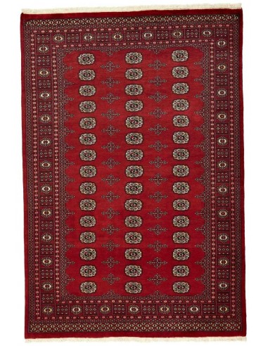 Hand made rug Bukhara fine Pakistan cm.172x254