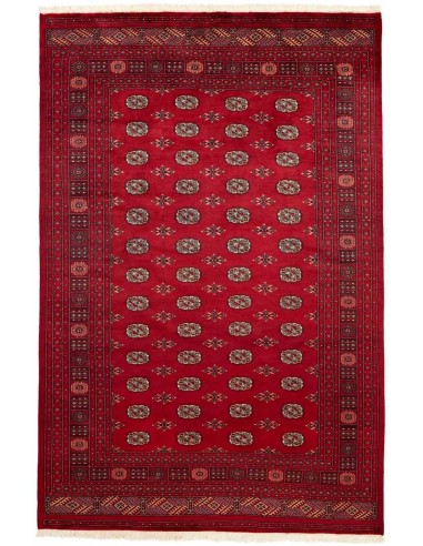 Hand made rug Bukhara fine Pakistan cm.203x307