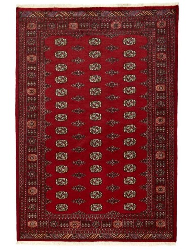 Hand made rug Bukhara fine Pakistan cm.171x249
