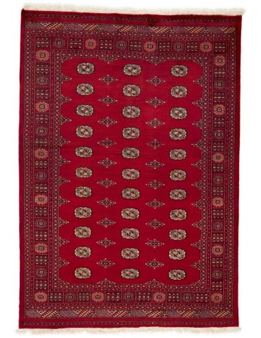 Hand made rug Bukhara fine Pakistan cm.173x246