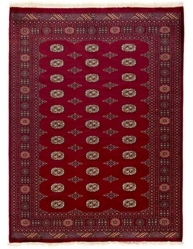 Hand made rug Bukhara fine Pakistan cm.175x236