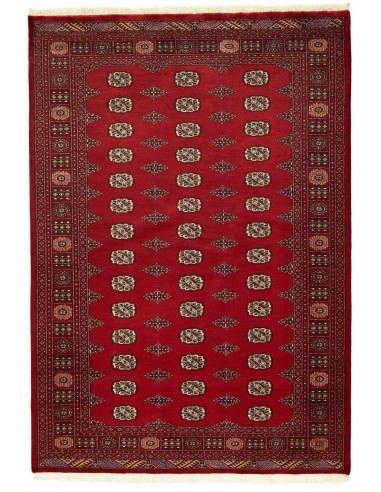 Hand made rug Bukhara fine Pakistan cm.172x246