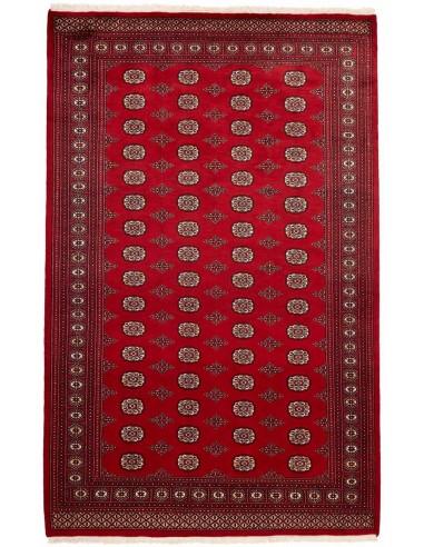 Hand made rug Bukhara fine Pakistan cm.201x316