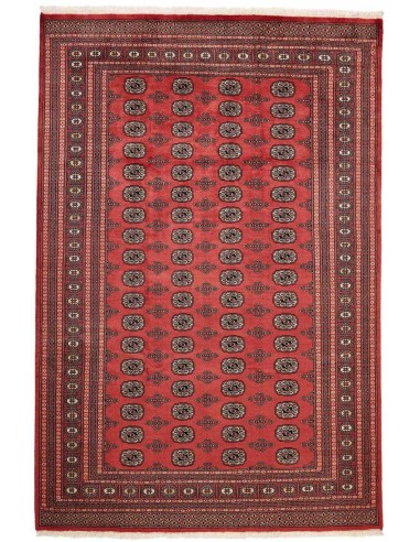 Hand made rug Bukhara fine Pakistan cm.201x303