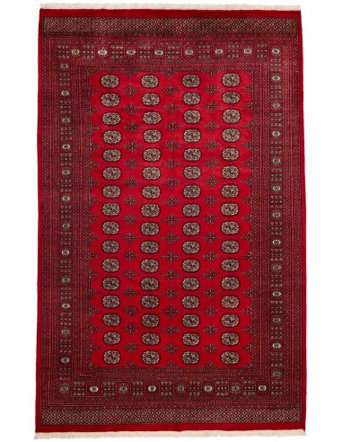 Hand made rug Bukhara fine Pakistan cm.205x315