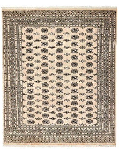 Hand made rug Bukhara fine Pakistan cm.247x300
