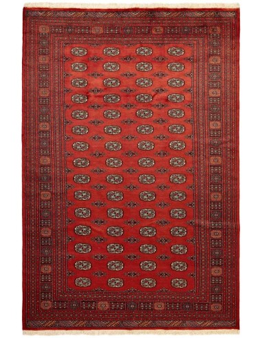 Hand made rug Bukhara fine Pakistan cm.202x304