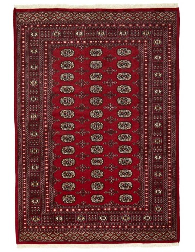 Hand made rug Bukhara fine Pakistan cm.169x244
