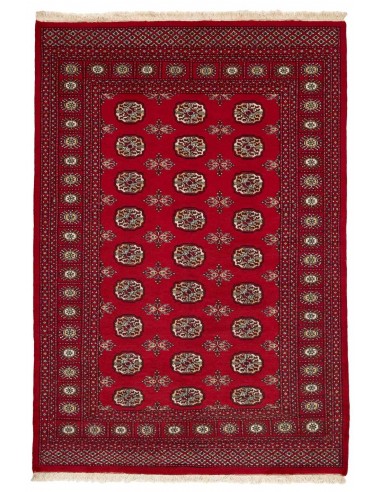 Hand made rug Bukhara fine Pakistan cm.138x200