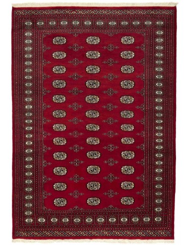 Hand made rug Bukhara fine Pakistan cm.168x240