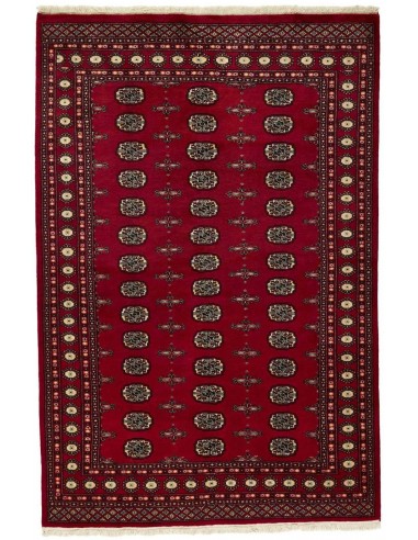 Hand made rug Bukhara fine Pakistan cm.166x248