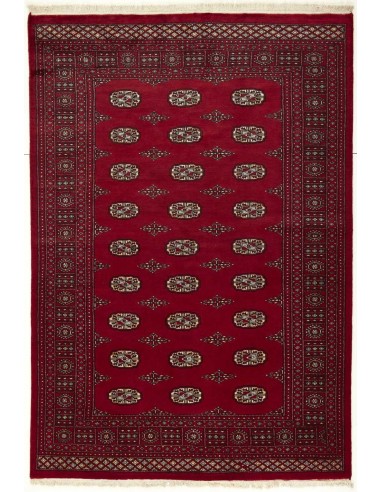 Hand made rug Bukhara fine Pakistan cm.170x247
