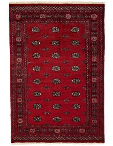 Hand made rug Bukhara fine Pakistan cm.170x252