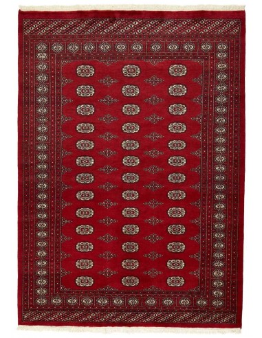 Hand made rug Bukhara fine Pakistan cm.167x233