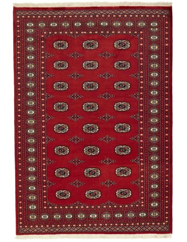Hand made rug Bukhara fine Pakistan cm.170x245