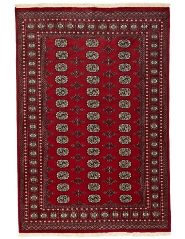 Hand made rug Bukhara fine Pakistan cm.168x248