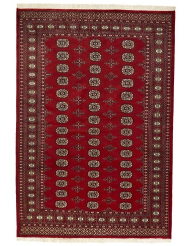 Hand made rug Bukhara fine Pakistan cm.169x245
