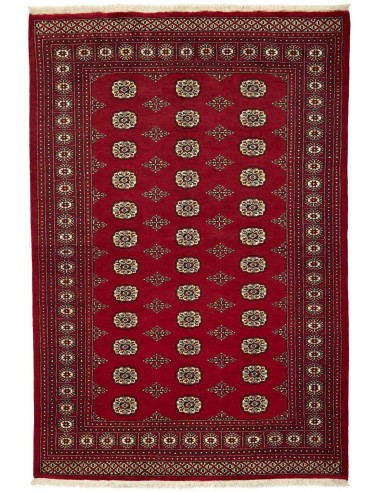 Hand made rug Bukhara fine Pakistan cm.168x249