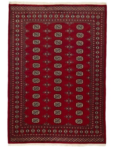 Hand made rug Bukhara fine Pakistan cm.173x245