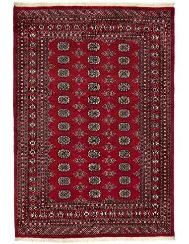 Hand made rug Bukhara fine Pakistan cm.171x247