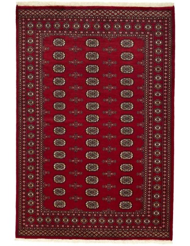 Hand made rug Bukhara fine Pakistan cm.168x248