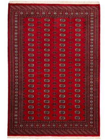 Hand made rug Bukhara fine Pakistan cm.201x291