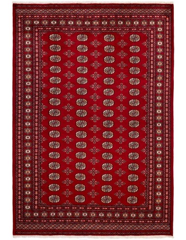 Hand made rug Bukhara fine Pakistan cm.207x307