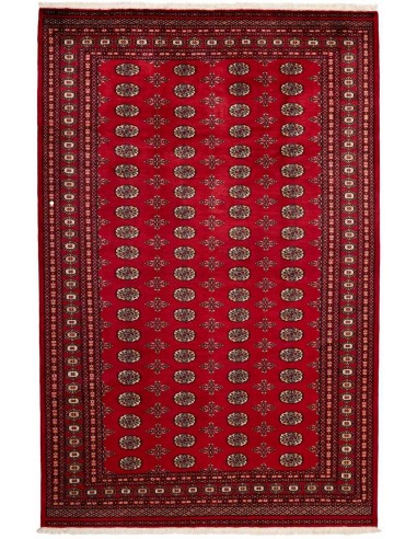 Hand made rug Bukhara fine Pakistan cm.204x316