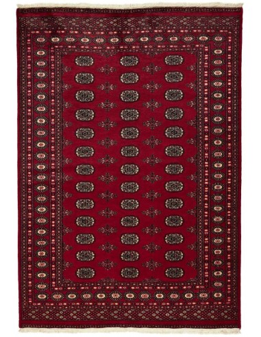 Hand made rug Bukhara fine Pakistan cm.173x246