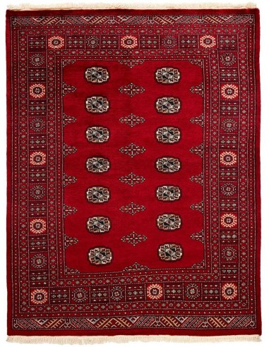 Hand made rug Bukhara extra fine Pakistan cm.143x184